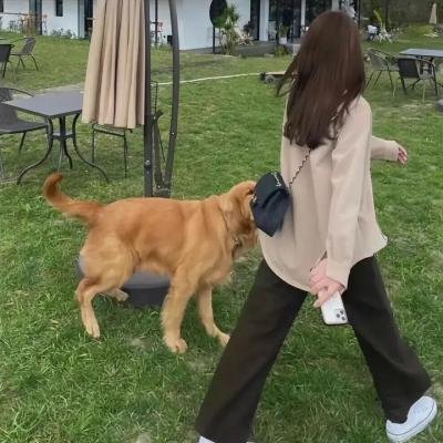 上海滩喋血枭雄